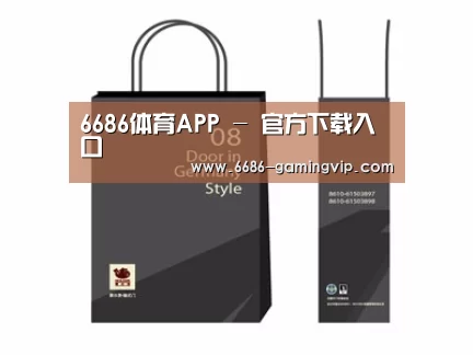 项目名称十四