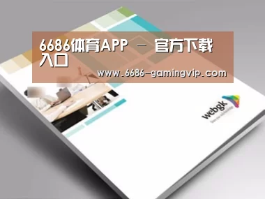 项目名称九