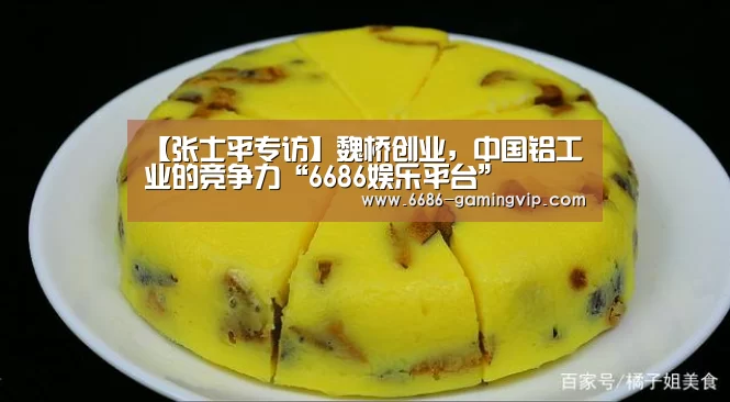 【张士平专访】魏桥创业,中国铝工业的竞争力“6686娱乐平台”(图1) 6686真人娱乐