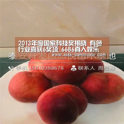 2013年度国家科技奖揭晓 有色行业喜获6奖项_6686真人娱乐(图4) 6686体育