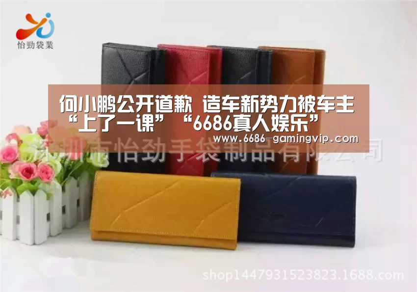 何小鹏公开道歉 造车新势力被车主“上了一课”“6686真人娱乐”(图4) 6686体育