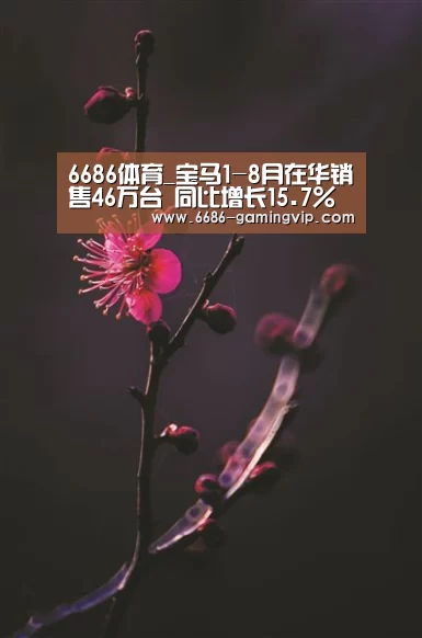 6686娱乐平台