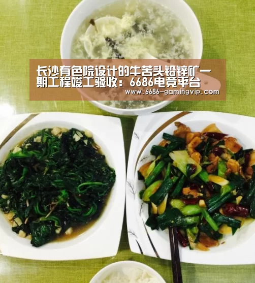 长沙有色院设计的牛苦头铅锌矿一期工程竣工验收:6686电竞平台(图2) 6686电竞平台