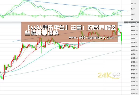 6686真人娱乐