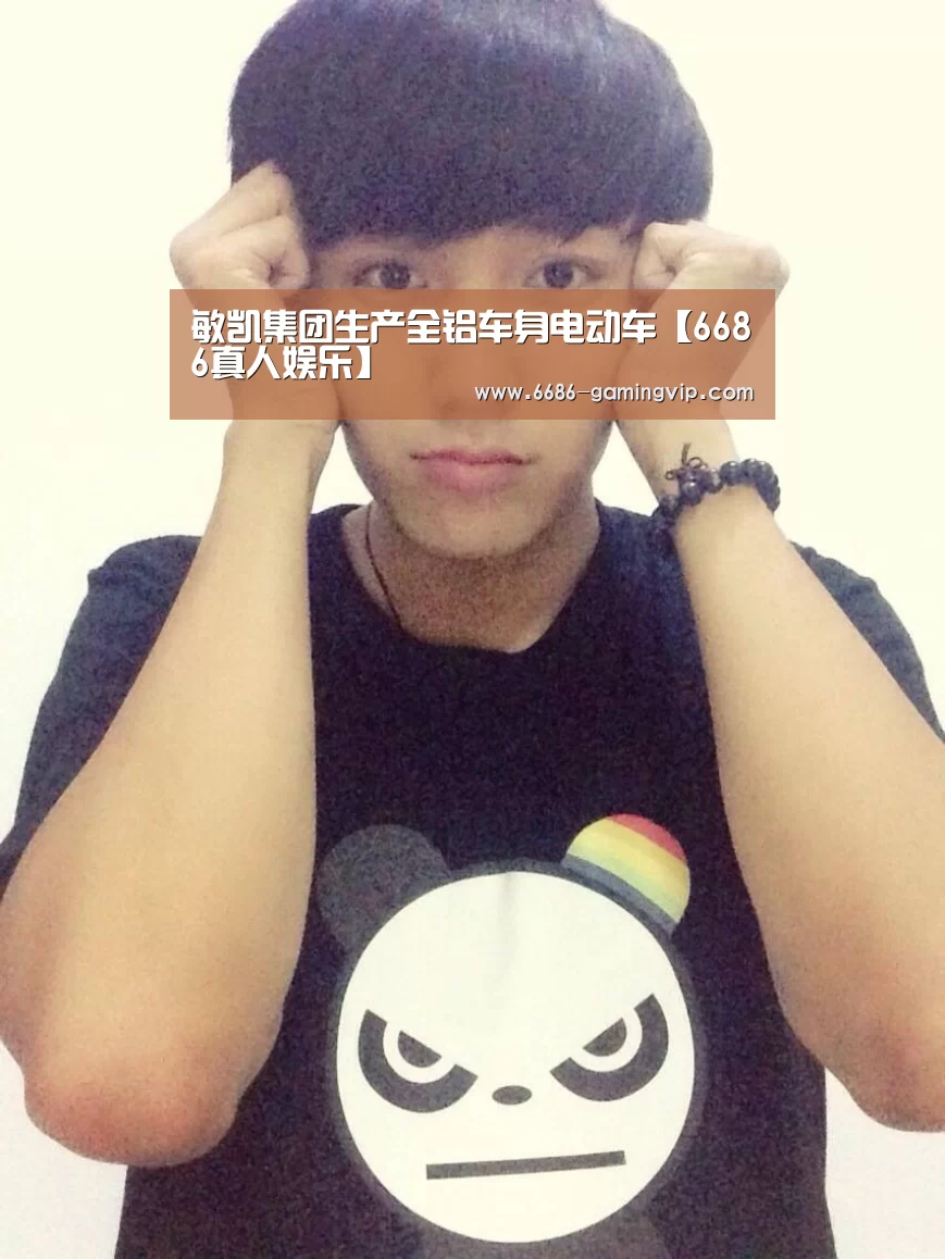 敏凯集团生产全铝车身电动车【6686真人娱乐】(图3) 6686娱乐平台