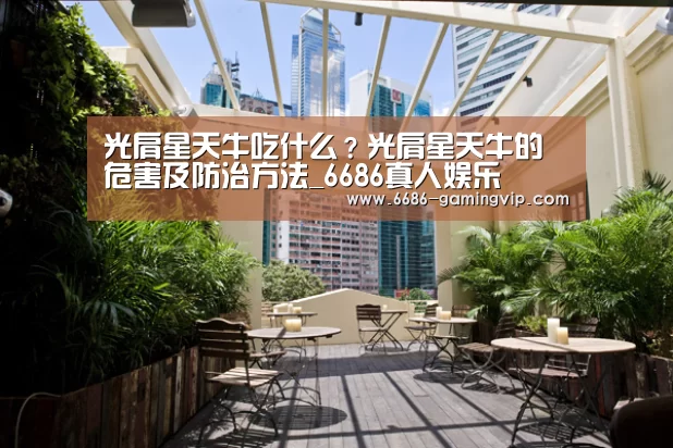 6686娱乐平台